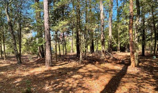Photo #3 of Lot 3 OCEANVIEW COURT, ACCOMAC, VA 3.3 acres