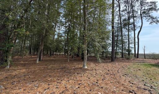 Photo #6 of Lot 3 OCEANVIEW COURT, ACCOMAC, VA 3.3 acres