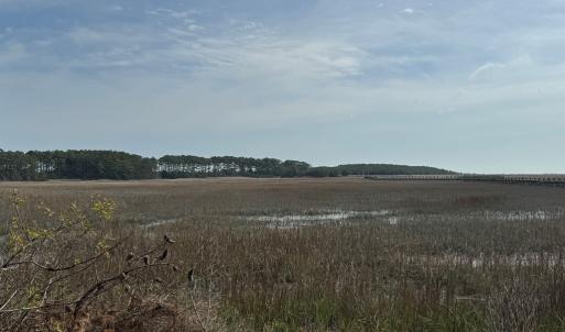 Photo #7 of Lot 3 OCEANVIEW COURT, ACCOMAC, VA 3.3 acres