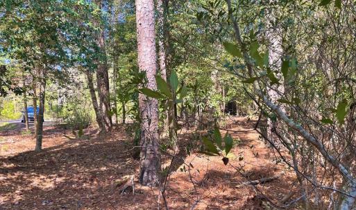 Photo #8 of Lot 3 OCEANVIEW COURT, ACCOMAC, VA 3.3 acres