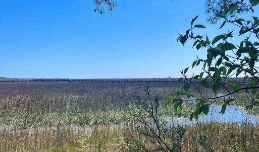 Photo #5 of Lot 3 OCEANVIEW COURT, ACCOMAC, VA 3.3 acres