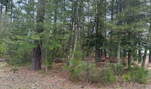 Photo #9 of Lot 3 OCEANVIEW COURT, ACCOMAC, VA 3.3 acres
