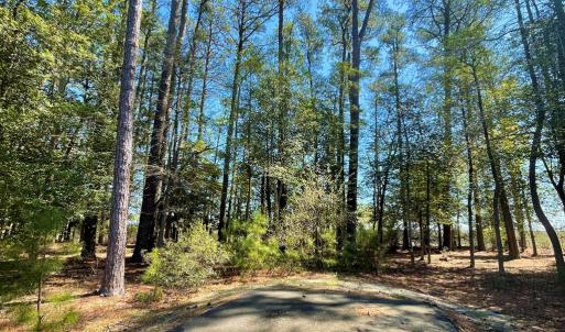 Photo #4 of Lot 3 OCEANVIEW COURT, ACCOMAC, VA 3.3 acres