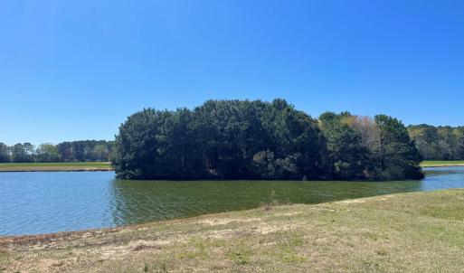 Photo #41 of Lot 3 OCEANVIEW COURT, ACCOMAC, VA 3.3 acres