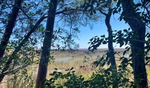 Photo #11 of Lot 3 OCEANVIEW COURT, ACCOMAC, VA 3.3 acres