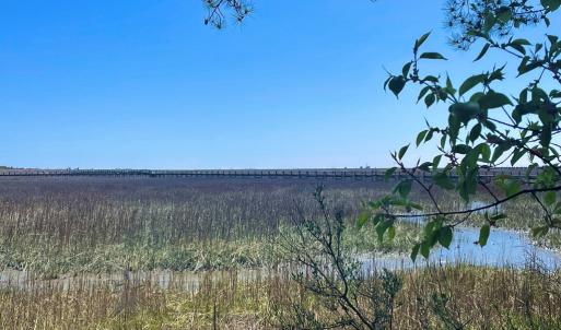 Photo #5 of Lot 3 OCEANVIEW COURT, ACCOMAC, VA 3.3 acres