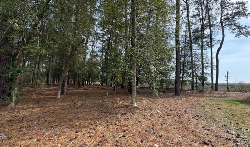 Photo #6 of Lot 3 OCEANVIEW COURT, ACCOMAC, VA 3.3 acres