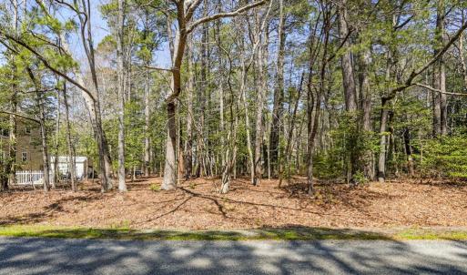Photo #2 of Lot 52 DAVEY JONES BLVD, GREENBACKVILLE, VA 9.0 acres