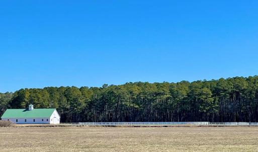 Photo #11 of Lot 33 PITTS CREEK RD, NEW CHURCH, VA 6.5 acres