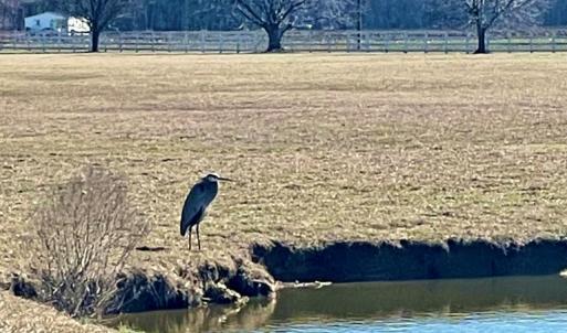 Photo #22 of Lot 33 PITTS CREEK RD, NEW CHURCH, VA 6.5 acres