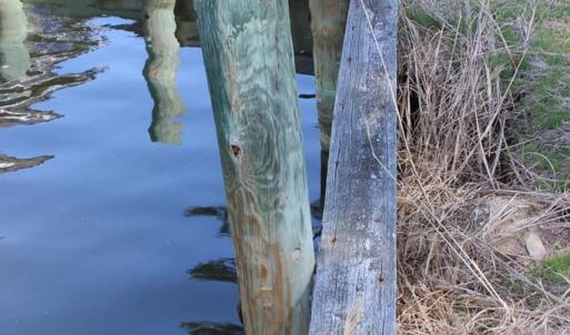 Photo #4 of 800 CASTAWAY DR, GREENBACKVILLE, VA 105.0 acres
