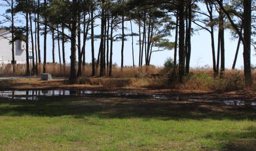 Photo #5 of 800 CASTAWAY DR, GREENBACKVILLE, VA 105.0 acres