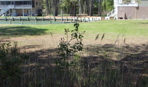 Photo #2 of 800 CASTAWAY DR, GREENBACKVILLE, VA 105.0 acres