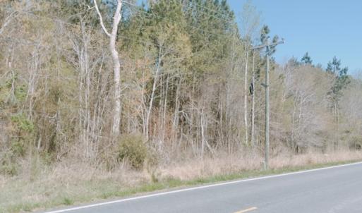 Photo #3 of MEARS STATION RD, BLOXOM, VA 14.0 acres