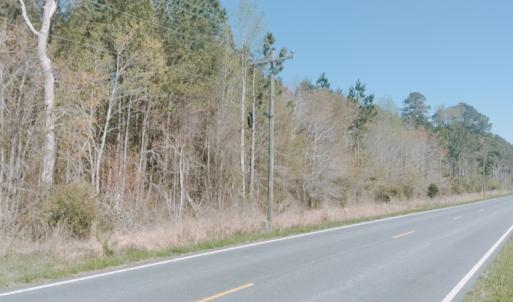 Photo #4 of MEARS STATION RD, BLOXOM, VA 14.0 acres