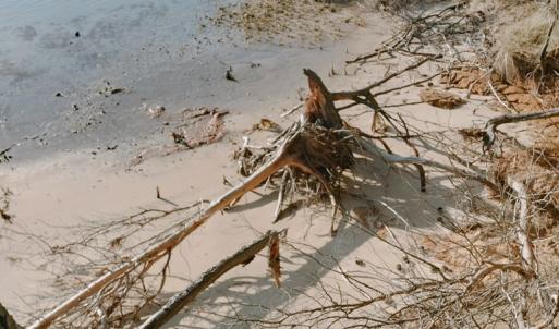 Photo #2 of Lot 9 CEDAR GROVE DRIVE, PAINTER, VA 1.6 acres