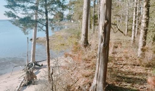 Photo #3 of Lot 9 CEDAR GROVE DRIVE, PAINTER, VA 1.6 acres