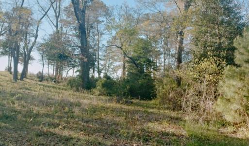 Photo #4 of Lot 9 CEDAR GROVE DRIVE, PAINTER, VA 1.6 acres