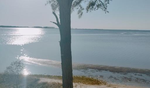 Photo #6 of Lot 9 CEDAR GROVE DRIVE, PAINTER, VA 1.6 acres