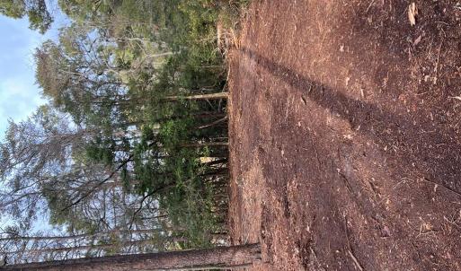 Photo #2 of GREENBRIAR CT, EASTVILLE, VA 5.7 acres
