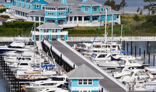 Nearby Marina