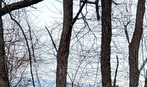 Photo #3 of Lot 2B 4.8 acre HILLCREST DR, STAUNTON, VA 4.8 acres