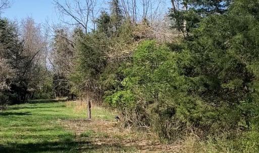 Photo #7 of Lot 2B 4.8 acre HILLCREST DR, STAUNTON, VA 4.8 acres