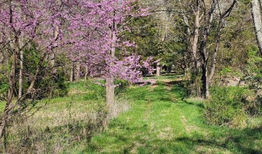 Photo #8 of Lot 2B 4.8 acre HILLCREST DR, STAUNTON, VA 4.8 acres