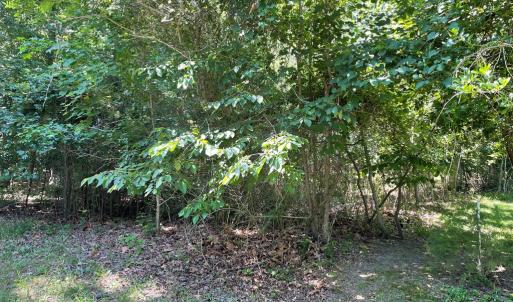 Photo #2 of 62 SIGNAL CT, GREENBACKVILLE, VA 0.3 acres