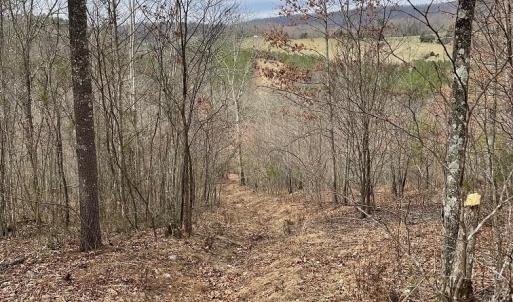 Photo #2 of 70-131 ESTALINE VALLEY RD, CRAIGSVILLE, VA 36.9 acres