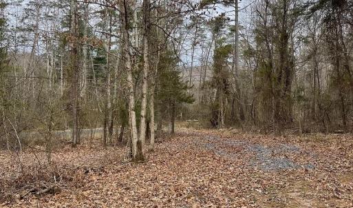 Photo #3 of 70-131 ESTALINE VALLEY RD, CRAIGSVILLE, VA 36.9 acres