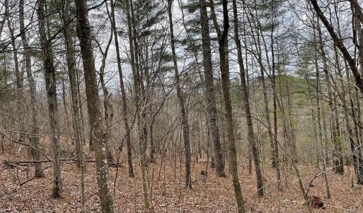 Photo #4 of 70-131 ESTALINE VALLEY RD, CRAIGSVILLE, VA 36.9 acres