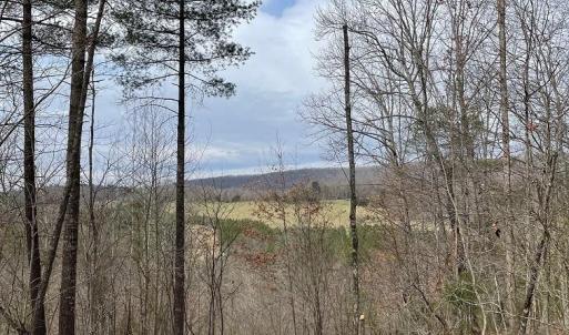 Photo #1 of 70-131 ESTALINE VALLEY RD, CRAIGSVILLE, VA 36.9 acres