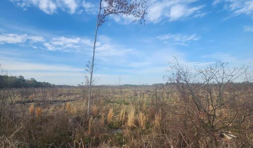 Photo #7 of 41 SAXIS RD, TEMPERANCEVILLE, VA 193.0 acres