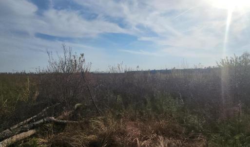 Photo #10 of 41 SAXIS RD, TEMPERANCEVILLE, VA 193.0 acres