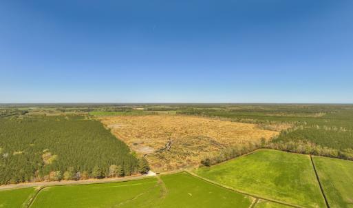 Photo #2 of 41 SAXIS RD, TEMPERANCEVILLE, VA 193.0 acres