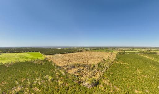 Photo #5 of 41 SAXIS RD, TEMPERANCEVILLE, VA 193.0 acres