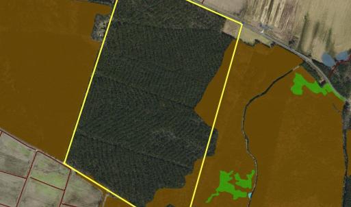 Photo #6 of 41 SAXIS RD, TEMPERANCEVILLE, VA 193.0 acres