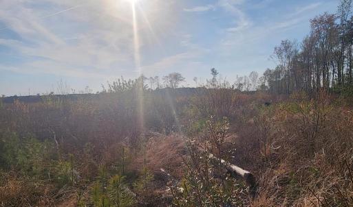 Photo #8 of 41 SAXIS RD, TEMPERANCEVILLE, VA 193.0 acres
