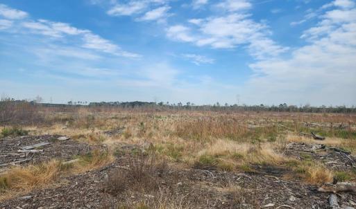 Photo #9 of 41 SAXIS RD, TEMPERANCEVILLE, VA 193.0 acres