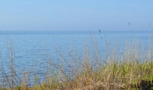 Photo #8 of BELLEVUE CIR, ACCOMAC, VA 15.6 acres