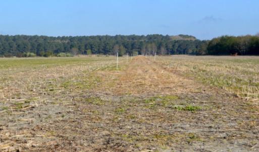 Photo #5 of BELLEVUE CIR, ACCOMAC, VA 15.6 acres