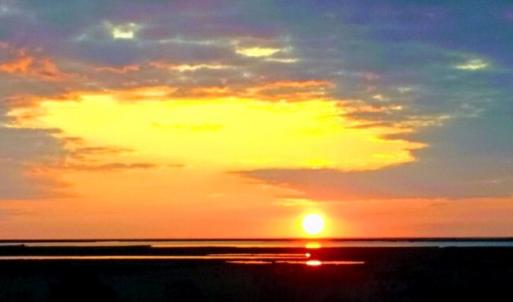 Photo #11 of BELLEVUE CIR, ACCOMAC, VA 15.6 acres