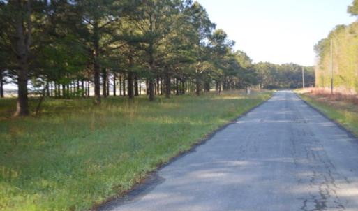 Photo #3 of BELLEVUE CIR, ACCOMAC, VA 15.6 acres