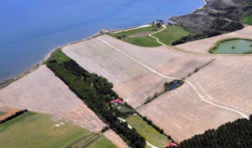 Photo #7 of BELLEVUE CIR, ACCOMAC, VA 15.6 acres