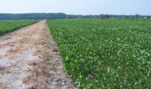 Photo #9 of BELLEVUE CIR, ACCOMAC, VA 15.6 acres