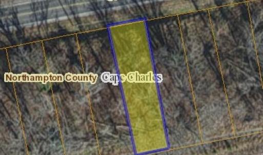 Photo #5 of Lot 56 STONE RD, CAPE CHARLES, VA 40.0 acres