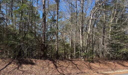 Photo #2 of Lot 1897 BUCCANEER BLVD, GREENBACKVILLE, VA 14.0 acres