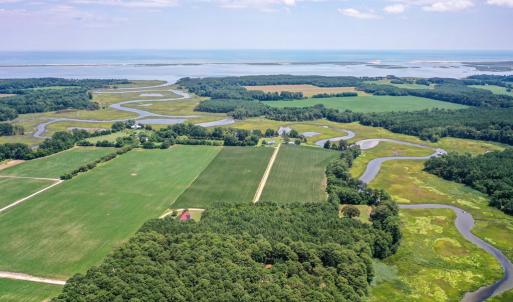 Photo #10 of 20F 1&2 FINNEY FARM DR, PARKSLEY, VA 10.1 acres