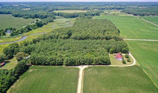 Photo #12 of 20F 1&2 FINNEY FARM DR, PARKSLEY, VA 10.1 acres